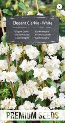 Clarkia Elegant White Seeds